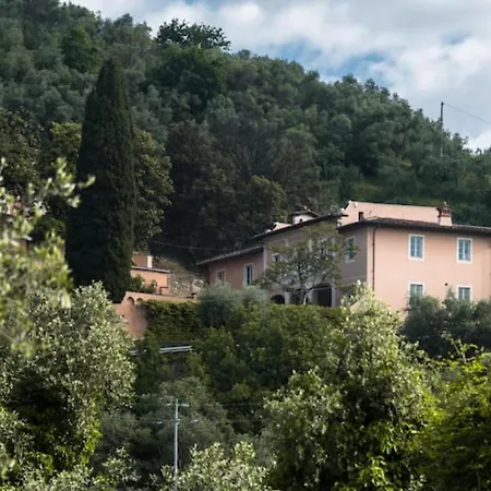 Collecchio - Fiordaliso * Pescia