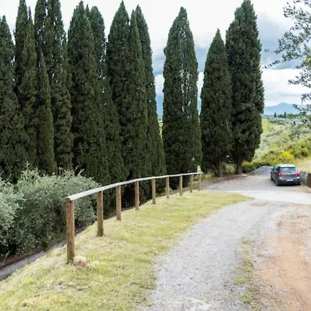 Collecchio - Fiordaliso * Pescia